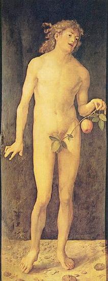 Albrecht Durer Adam oil painting picture